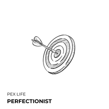 Load image into Gallery viewer, Perfectionist Album
