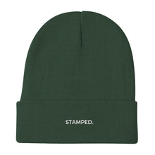 Load image into Gallery viewer, Stamped Embroidered Beanie