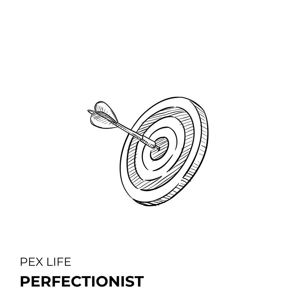 Perfectionist Album